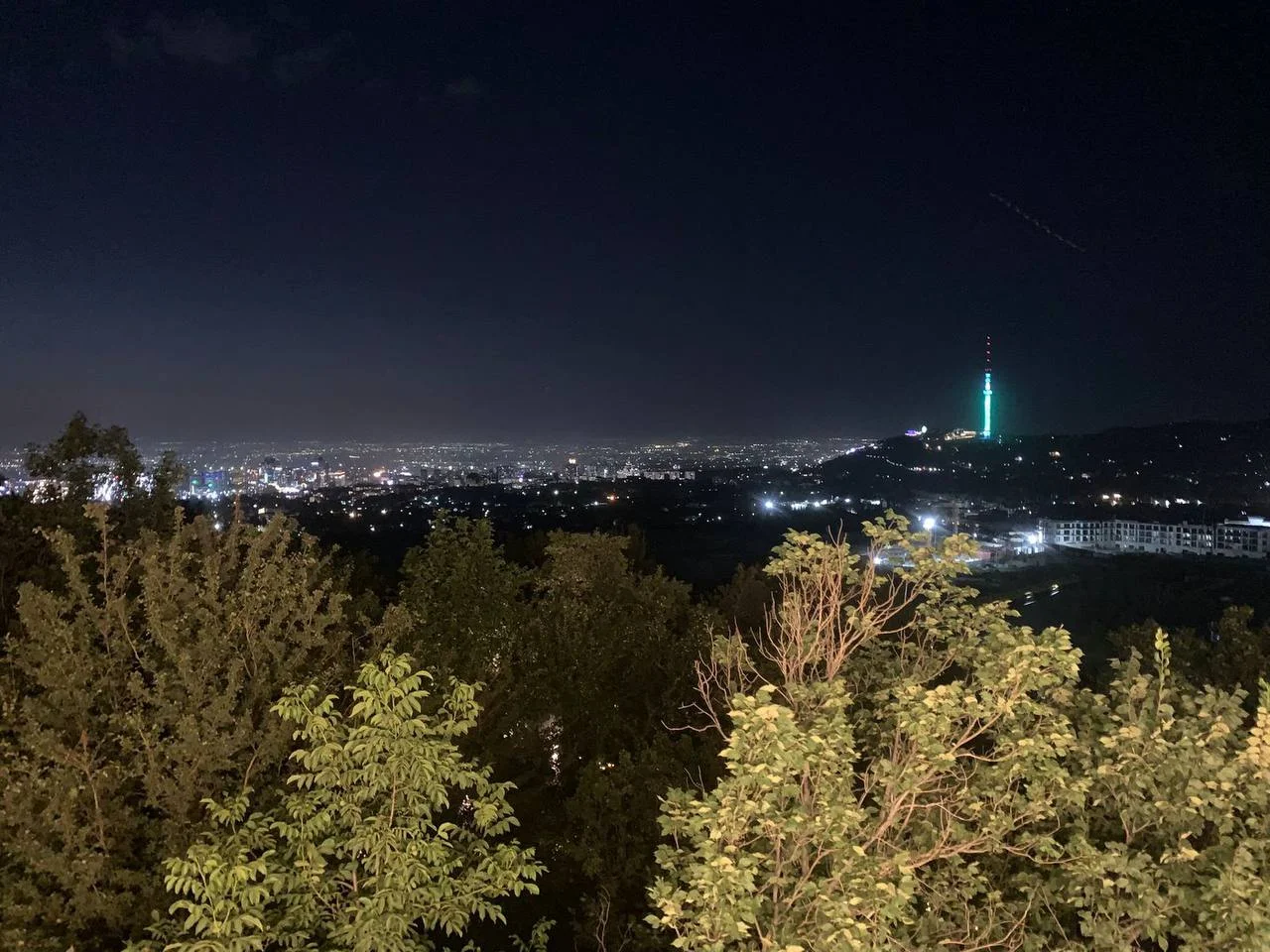 Верхняя терраса — фото 3